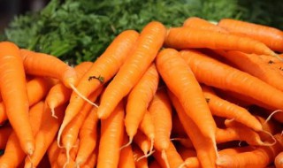胡萝卜含有什么维生素 胡萝卜含有什么维生素最多