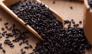 黑米的功效与作用及食用方法 黑芝麻黑豆黑米的功效与作用及食用方法