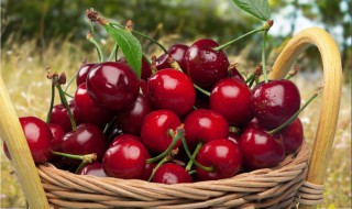 樱桃的功效与作用及禁忌 樱桃的功效与作用及禁忌和副作用