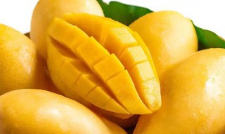 吃芒果会胖吗 吃芒果会胖吗 芒果究竟是增肥还是减肥