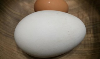 孕妇可以吃鹅蛋吗 孕妇可以吃鹅蛋吗,对胎儿有影响吗