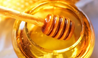 各种蜂蜜的功效 各种蜂蜜的功效大全
