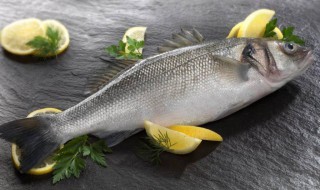 吃鱼时要去除鱼胆鱼胆的主要危害是 吃鱼时要去除鱼胆 鱼胆的主要危害是