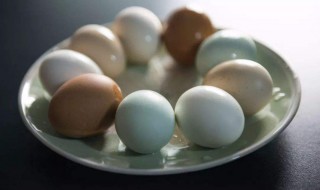 鸭蛋和鸡蛋什么营养 鸭蛋和鸡蛋什么营养高