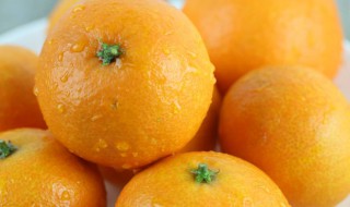 橘子的保存方法和技巧（橘子保存方法9个）
