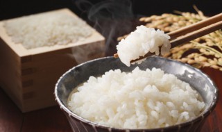 一个人的蒸米饭的家常做法 一个人蒸饭的做法及步骤