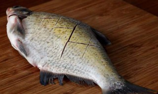 鳊鱼鱼鳞要去掉吗（鲥鱼鱼鳞要刮吗）