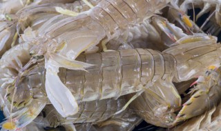 皮皮虾怎么洗 皮皮虾怎样去内脏和虾线视频