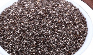 奇亚籽白色的好还是黑色的好（奇亚籽白色的好还是黑色的好吃）