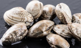 花甲要清理内脏吗 花甲要清理内脏吗图片