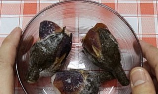 茄子蒂煮水的功效与作用（茄子蒂煮水的功效与作用禁忌）