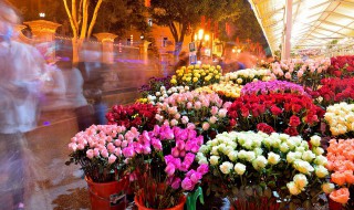 花的寓意和花语是什么 十一玫瑰花的寓意和花语是什么