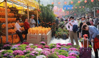 春节相关营销广告 春节相关营销广告宣传语