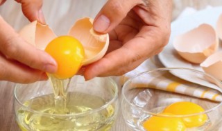 减肥期间应不应该吃蛋黄