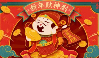 客厅财位上放什么招财（客厅的财位摆什么绿植好）