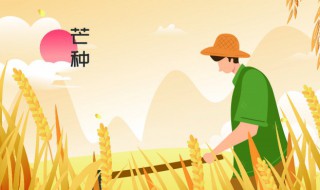 芒种应该吃什么 芒种应该吃什么水果