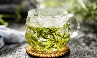 金银花和绿茶泡水的功效 金银花和绿茶泡水的功效和作用