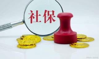 灵活就业人员社保可以一次性缴纳吗（灵活就业人员社保可以一次性缴纳吗怎么交）