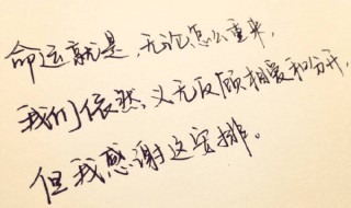 温暖的话语 温暖的话语作文600字