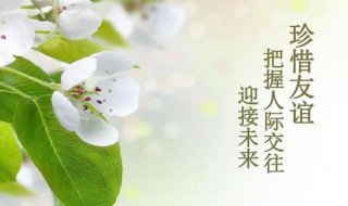 珍惜友情的唯美短句（珍惜友情的句子唯美简短）