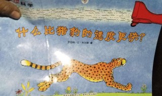 什么比猪豹的速度更快的主要内容 《什么比猎豹的速度更快》的主要内容