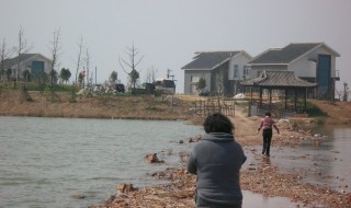 常在河边走哪有不湿鞋是谁写的 常在河边走哪有不湿鞋意思