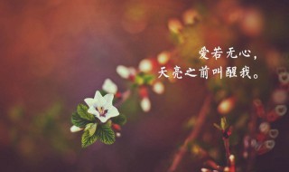 简短经典的人生感悟（简短经典的人生感悟短句）