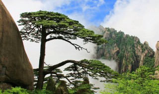 黄山景点介绍 黄山景点介绍视频