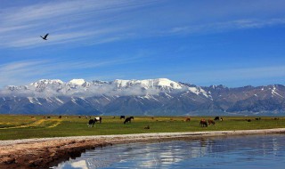 七八月份去哪里旅游最好（七八月份去哪里旅游最好国外）