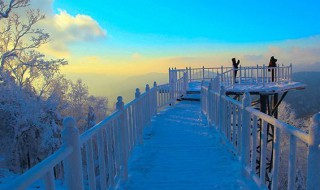 带小孩去哪里旅游最好（暑假带小孩去哪里旅游最好）