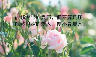 比较唯美的朋友圈句子大全 比较唯美的朋友圈句子大全短句