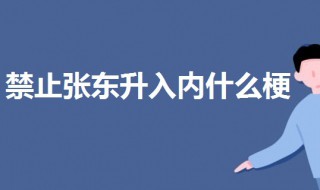 禁止张东升入内什么梗