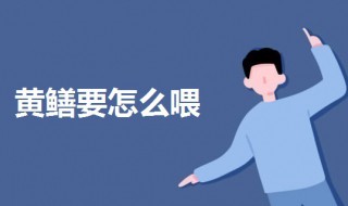 黄鳝要怎么喂 黄鳝怎么喂养时间长