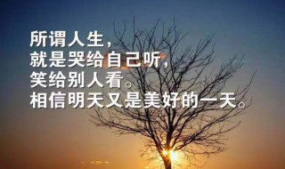 清晨发的优美句子朋友圈（清晨发的朋友圈说说）