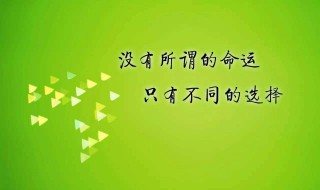 朋友圈发的正能量语录集（朋友圈发的正能量语录集锦怎么写）