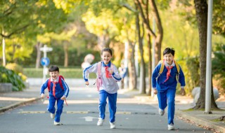 莘莘学子怎么读（蓁蓁学子 莘莘学子怎么读）