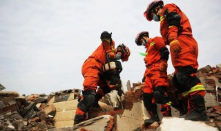 地震感人事迹（地震感人案例）