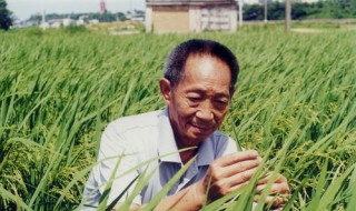 袁隆平是哪里人?什么身份? 袁隆平是哪里人?什么身份的