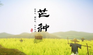 2021芒种节气快乐祝福语 芒种节气寄语