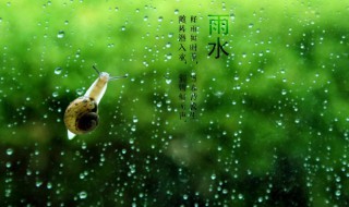 雨水节气吃什么传统食物 雨水节气吃什么最合适