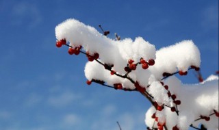 雪的形成（雪的形成是凝固还是凝华）