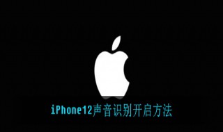 iPhone12如何开启声音识别（苹果12pro声音识别）