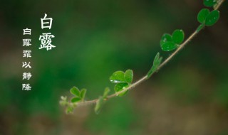 白露节气古诗词 白露节气古诗词诗句谚语大全