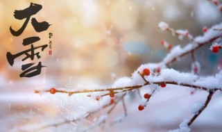 大雪节气寓意（大雪节气寓意象征）