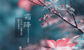 霜降节气吃什么 霜降节气吃什么最好