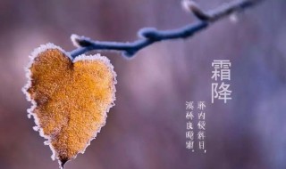 霜降节气的寓意和传统 霜降节气含义