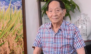 袁隆平是哪里人 袁隆平是哪里人呢简介