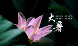 大暑节气介绍（大暑节气介绍简短）