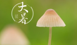 大暑节气的寓意和传统（大暑节气的本意是什么）