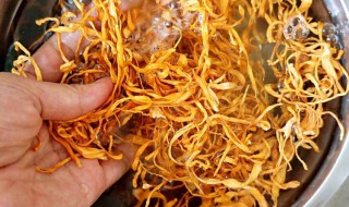 虫草花怎么煮（虫草花怎么煮比较好吃）
